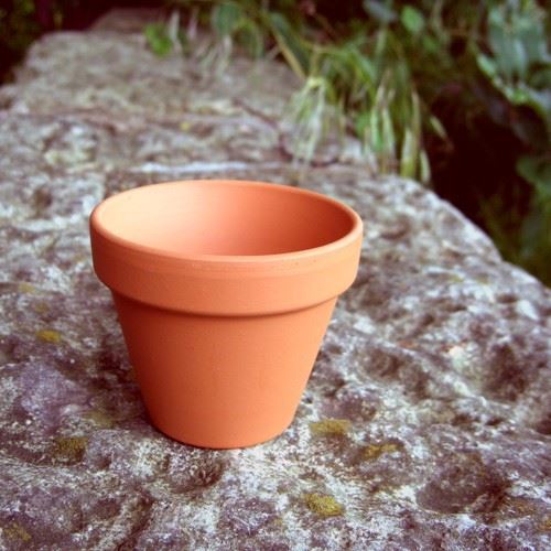 lof erger maken Vooruit Terracotta Plant Pots - F8 (8 cm dia) | Weston Mill Pottery UK