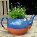 Picture of Teapot Planter Large - Blue