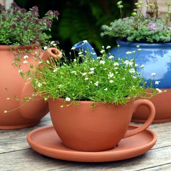 teacup planter - small weston mill pottery uk