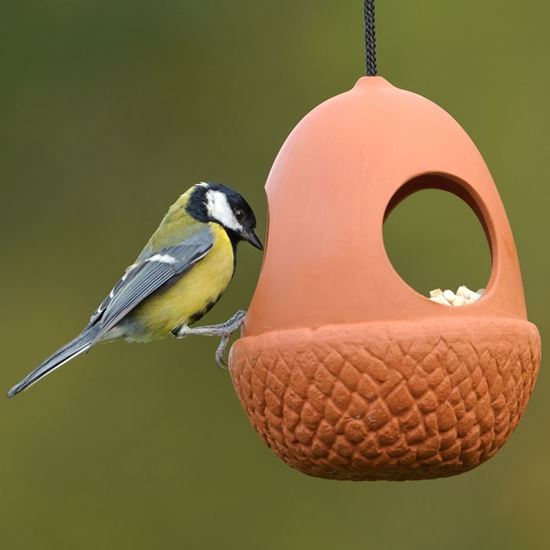 Acorn Bird Feeder Weston Mill Pottery Uk