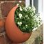 Picture of Egg Wall Pot - Large